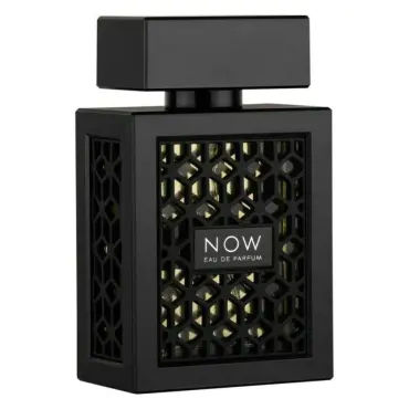 Parfum pentru bărbați Rave Now EDP 100 ml.