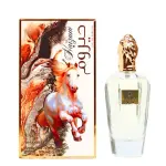 Parfumurile mele Haizum EDP 100 ml. - Unisex